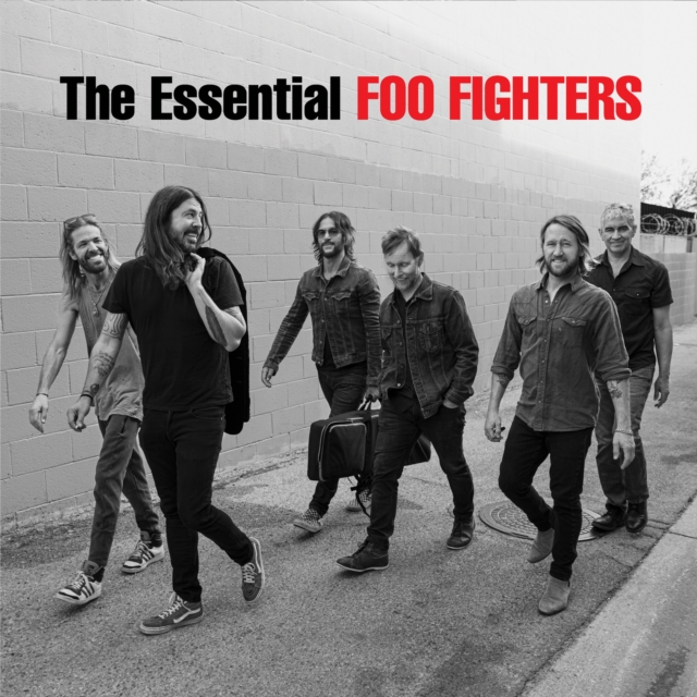 The Essential Foo Fighters, Vinyl / 12" Album Vinyl