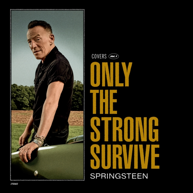 Only the Strong Survive, Vinyl / 12" Album Vinyl