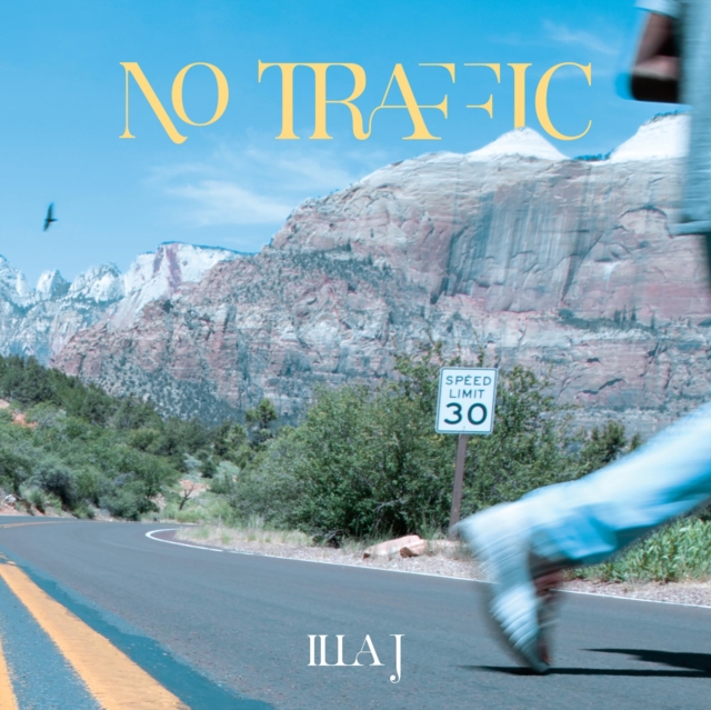 No Traffic, Vinyl / 12" Album Vinyl