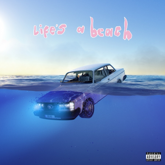 Life's a Beach, Vinyl / 12" Album Vinyl