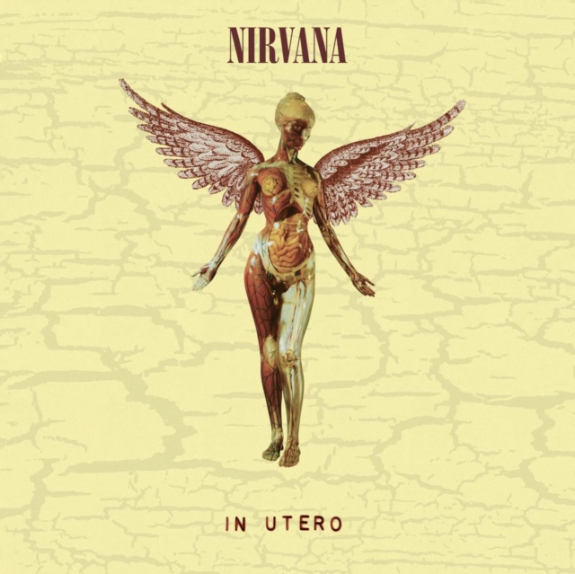 In Utero (Limited Edition), Vinyl / 12" Album with 10" Single Vinyl