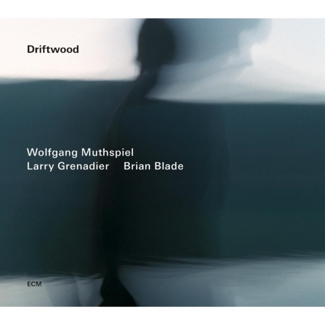 Driftwood, CD / Album Cd
