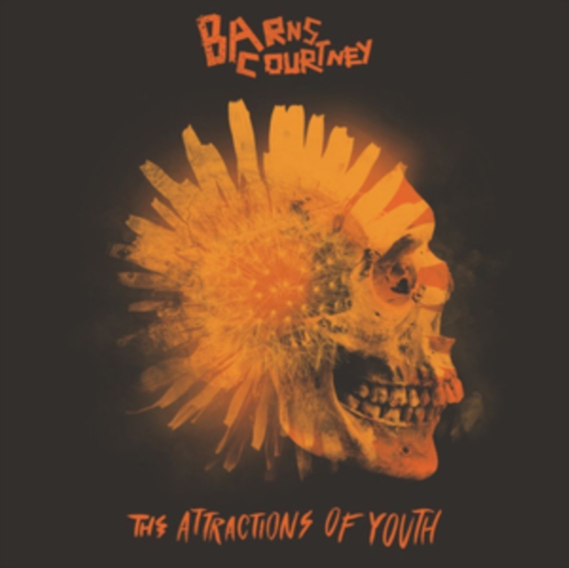 The Attractions of Youth, CD / Album Cd