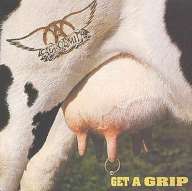 Get a Grip, CD / Album Cd