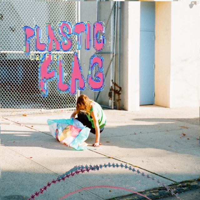 Plastic Flag, Vinyl / 12" Album Vinyl