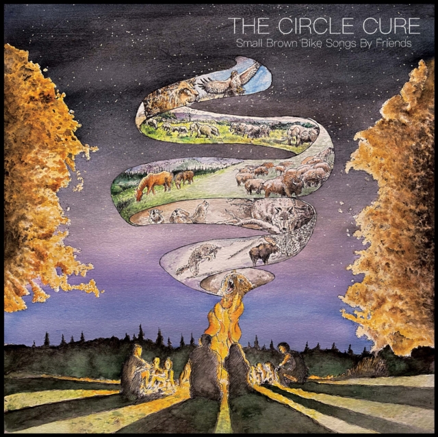 The circle cure, Vinyl / 12" Album Vinyl