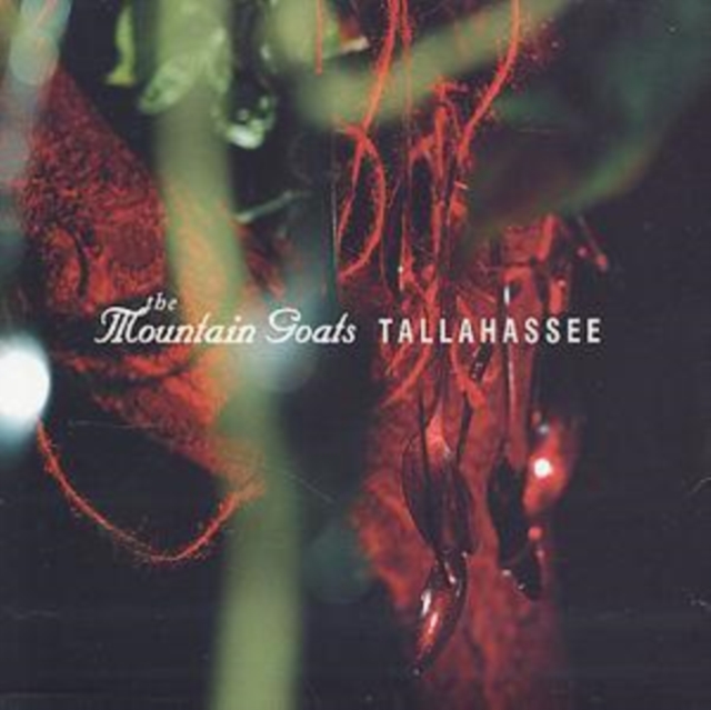 Tallahassee, CD / Album Cd