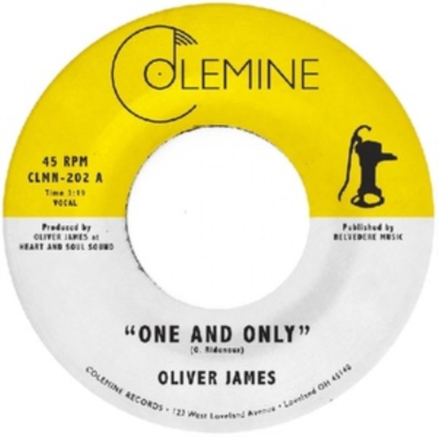 One and Only, Vinyl / 7" Single Vinyl