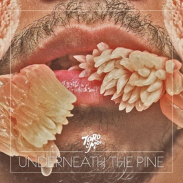 Underneath the Pine, CD / Album Cd