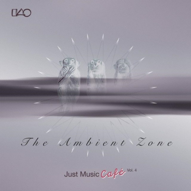 The Ambient Zone, CD / Album Cd