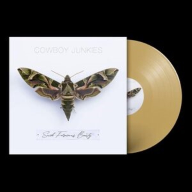 Such Ferocious Beauty, Vinyl / 12" Album Coloured Vinyl (Limited Edition) Vinyl