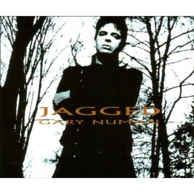 Jagged, CD / Album Cd