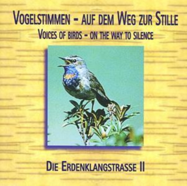 Die Erdenklangstrasse Ii, CD / Album Cd
