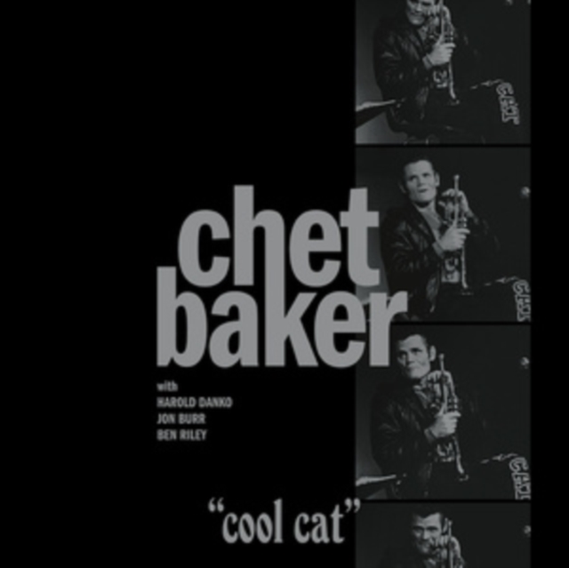 Cool Cat, Vinyl / 12" Album Vinyl