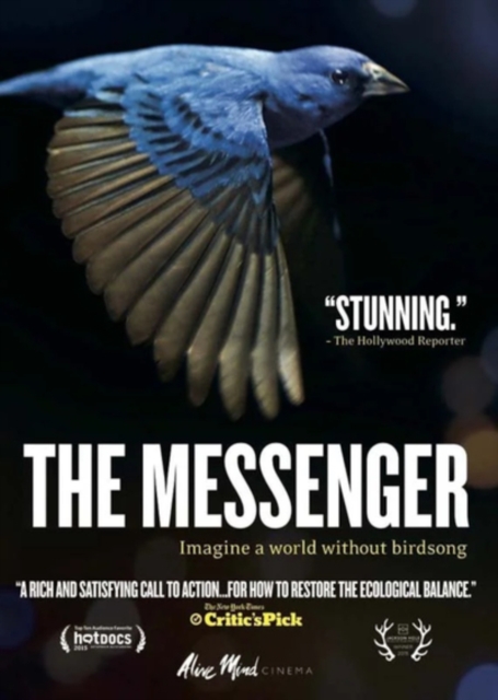 The Messenger, DVD DVD