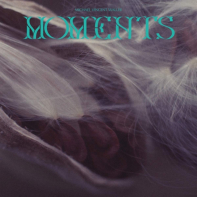 Moments, Vinyl / 12" Album Vinyl