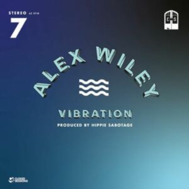 Vibration (Limited Edition), Vinyl / 7" Single Vinyl