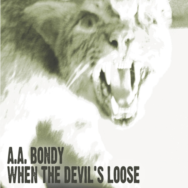 When the Devil's Loose, CD / Album Cd