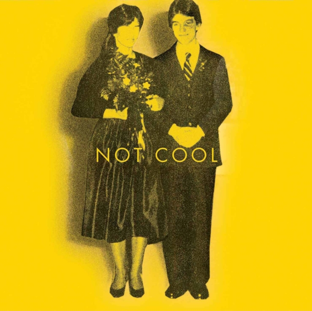 Not Cool, CD / Album Cd