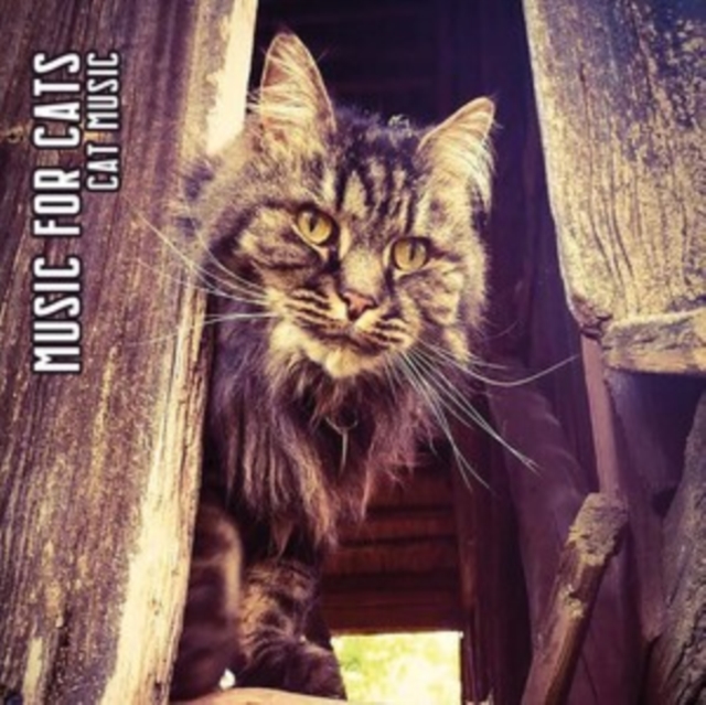 Cat music, CD / Album Digipak Cd