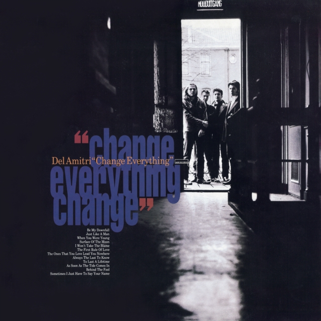 Change Everything, Vinyl / 12" Album Vinyl