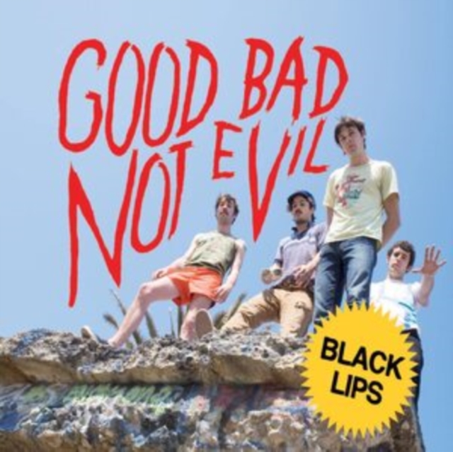 Good Bad Not Evil (Deluxe Edition), Vinyl / 12" Album Vinyl