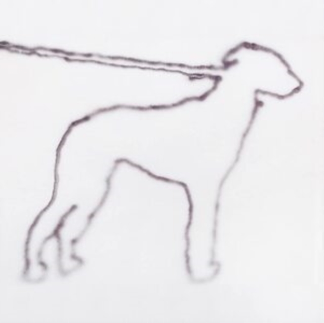 Portrait of a dog, Vinyl / 12" Album Vinyl