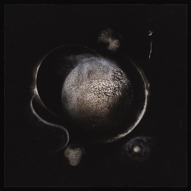Cold Black Suns, CD / Album Digipak Cd