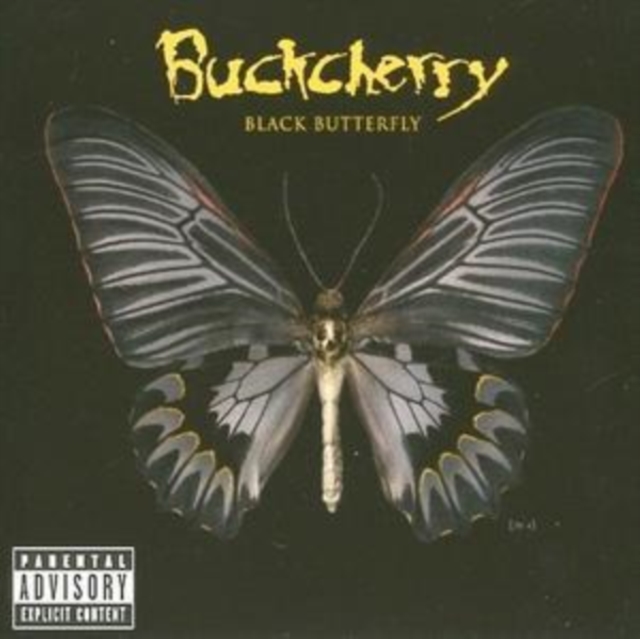 Black Butterfly, CD / Album Cd