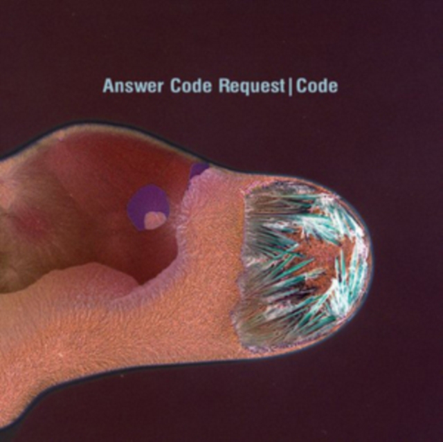 Code, CD / Album Cd