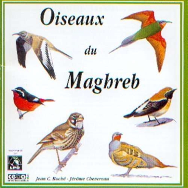 Birds of Mahgred North-west Africa, CD / Album Cd