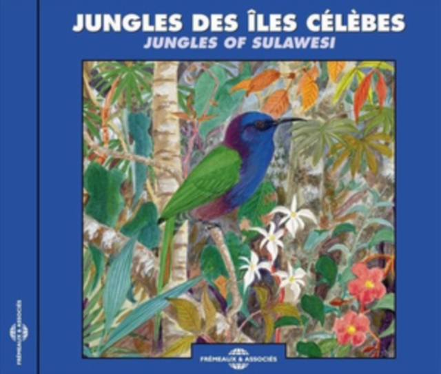 Jungles Des Iles Celebes: Jungles of Sulawesi, CD / Album Cd