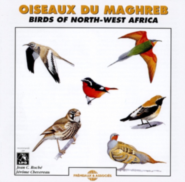 Oiseaux Du Maghreb (Birds of N.W. Africa), CD / Album Cd