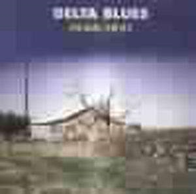 Delta Blues 1940 - 51, CD / Album Cd