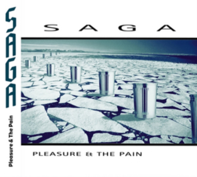 Pleasure and the Pain, CD / Album Cd