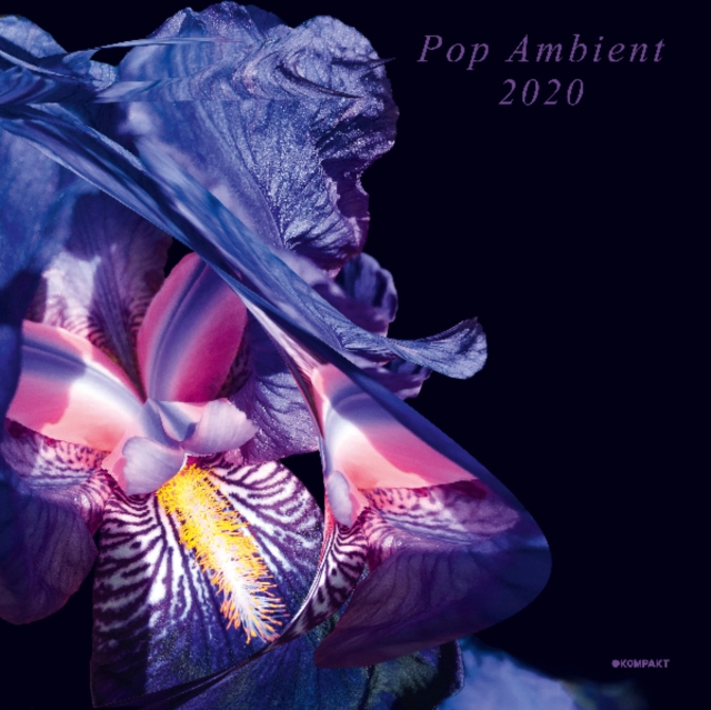Pop Ambient 2020, Vinyl / 12" Album Vinyl