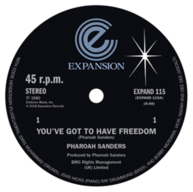 You've Got to Have Freedom/Got to Give It Up, Vinyl / 12" Single Vinyl
