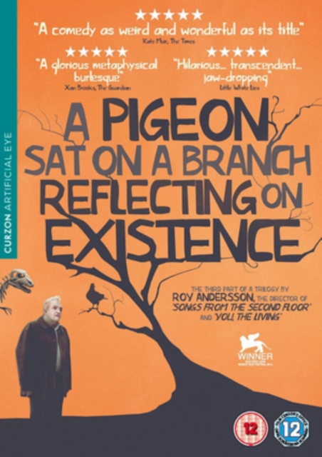 A   Pigeon Sat On a Branch Reflecting On Existence, DVD DVD