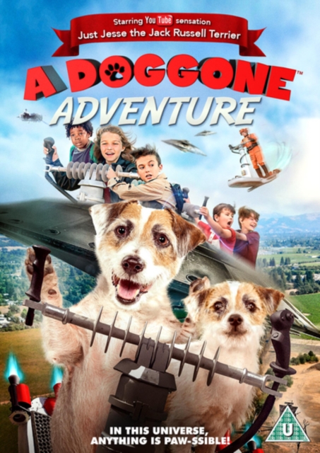 A   Doggone Adventure, DVD DVD