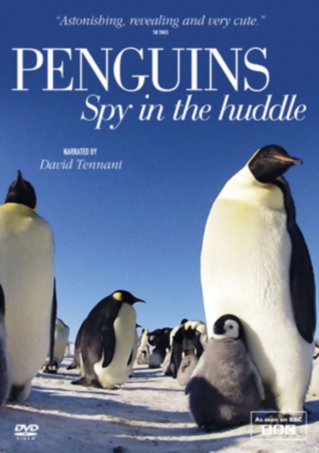 Penguins: Spy in the Huddle, DVD  DVD