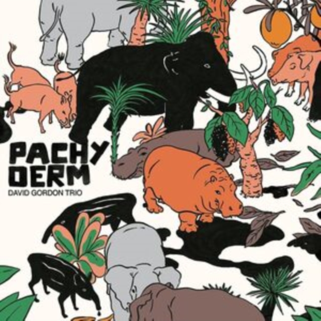 Pachyderm, Vinyl / 12" Album Vinyl