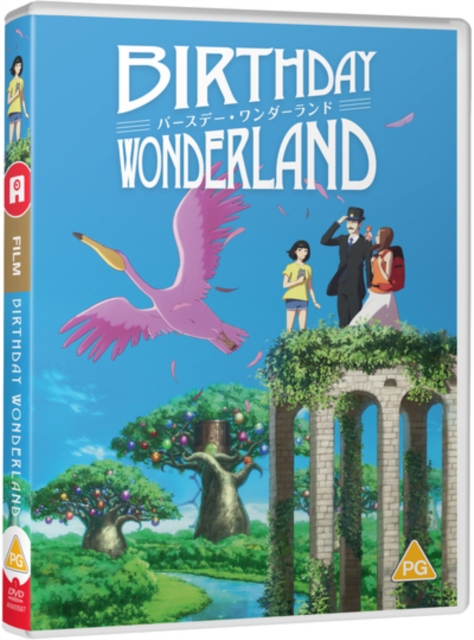 Birthday Wonderland, DVD DVD