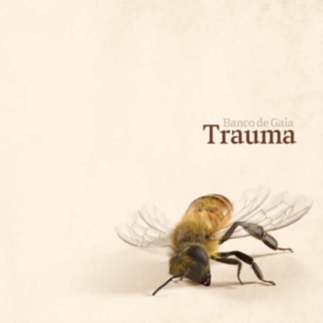 Trauma, CD / Album Cd