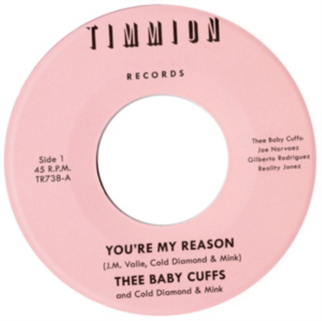 You're My Reason, Vinyl / 7" Single Vinyl