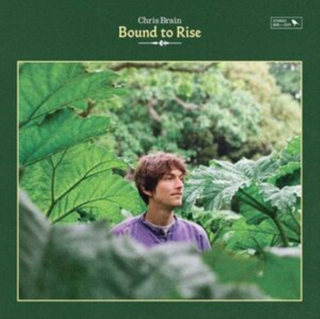Bound to Rise, CD / Album Cd