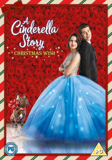A   Cinderella Story - Christmas Wish, DVD DVD