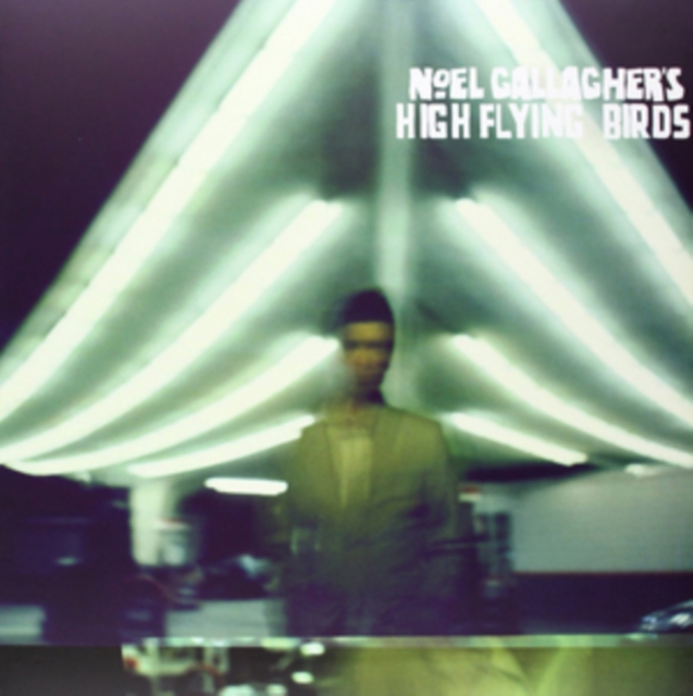 Noel Gallagher's High Flying Birds, Vinyl / 12" Album Vinyl