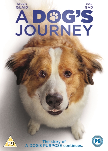 A   Dog's Journey, DVD DVD