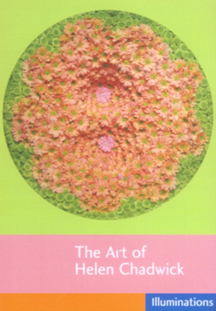 The Art of Helen Chadwick, DVD DVD