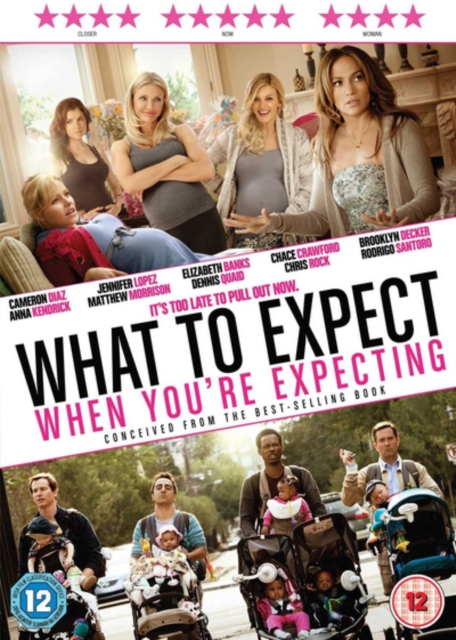 What to Expect When You're Expecting, DVD  DVD